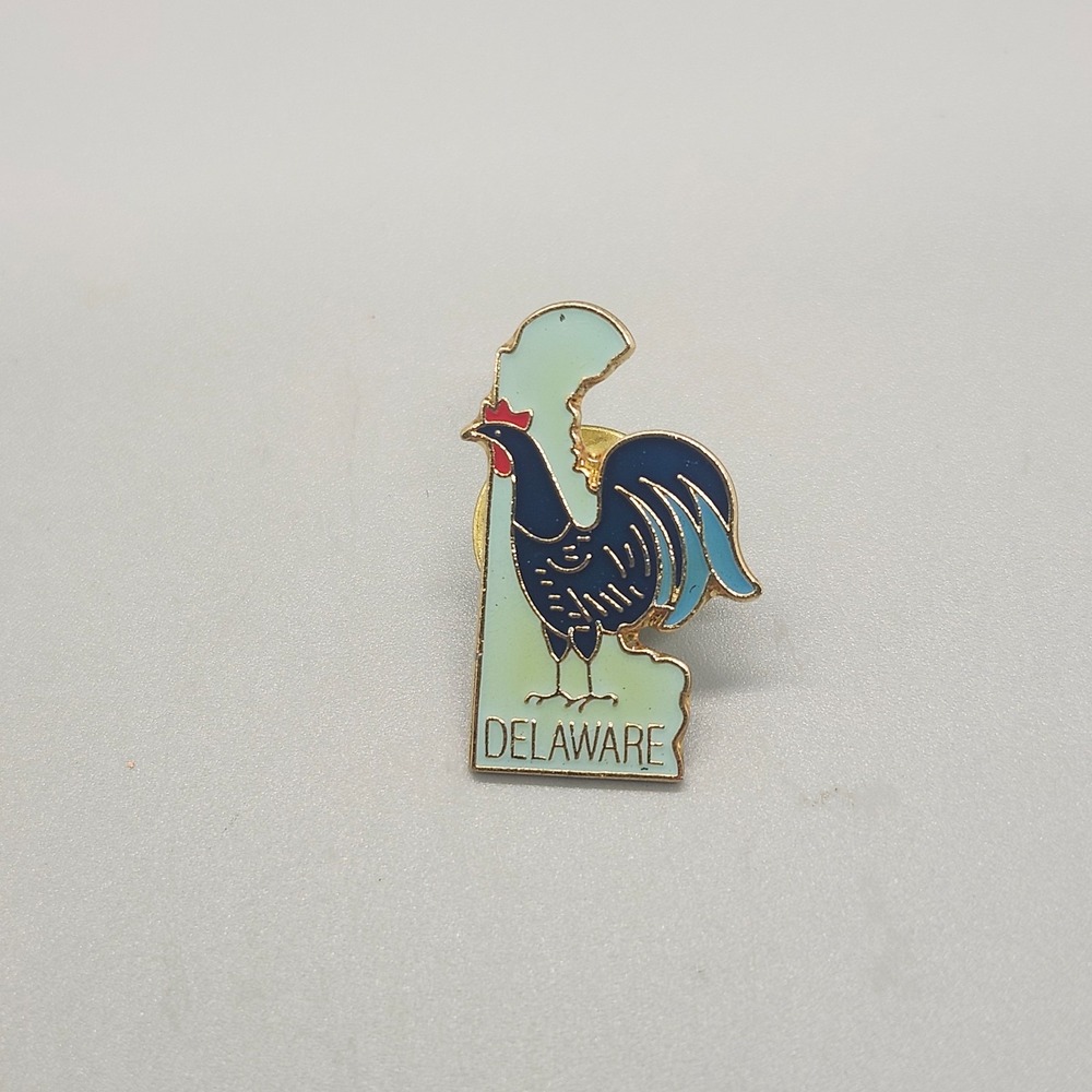 Delaware Blue Hen State Souvenir Pin United States Travel Collectible